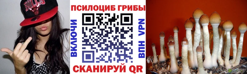 Псилоцибиновые грибы прущие грибы  Купить закладки  Щёлкино 