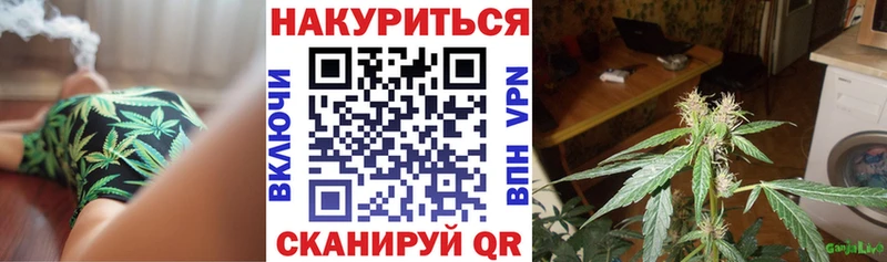 Купить где  Щёлкино  Бошки Шишки марихуана 